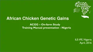 Empowering Smallholder Farmers through African Chicken Genetic Gains Program