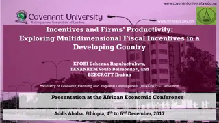 Exploring Fiscal Incentives for Enhanced Firm Productivity in Developing Countries