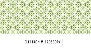 Electron Microscopy and Microscopic Imaging Techniques