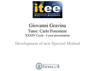 Spectral Techniques for Nanostructures | Giovanni Gravina & Carlo Forestiere