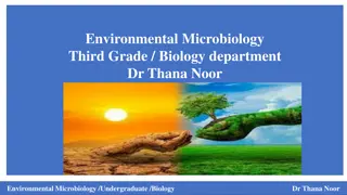 Survival Mechanisms of Microorganisms in Extreme Environments