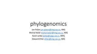 Phylogenomics and Phylogenetic Analysis