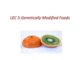 Exploring Genetically Modified Foods: GMOs, Benefits, and Examples