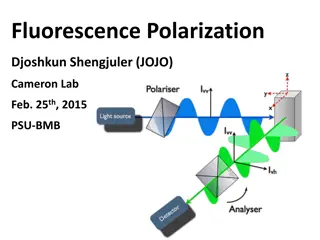 Fluorescence Polarization: A Comprehensive Overview with Case Studies