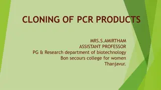 PCR Cloning: An Innovative Approach in Genetic Manipulation