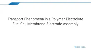 Water Management in Polymer Electrolyte Fuel Cells