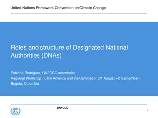 The Roles and Structure of Designated National Authorities (DNAs)