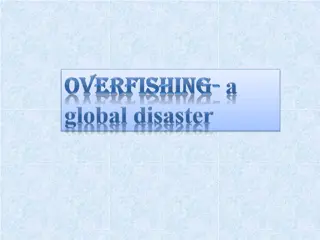 Overfishing and Its Impact on Marine Ecosystems