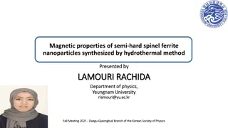 Magnetic Properties of Semi-Hard Spinel Ferrite Nanoparticles Synthesized by Hydrothermal Method