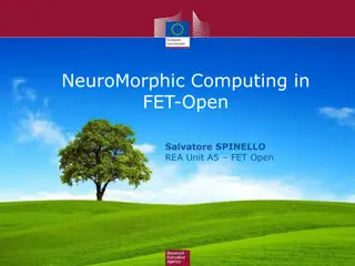Cutting-Edge NeuroMorphic Computing in FET-Open Projects