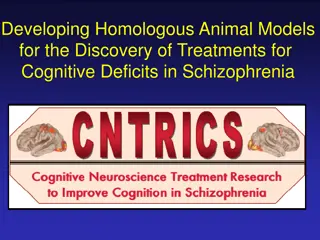 Discovering Treatments for Cognitive Deficits in Schizophrenia through Animal Models