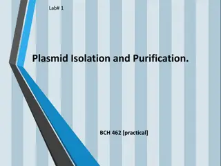 Plasmid Isolation and Purification Techniques in Molecular Biology