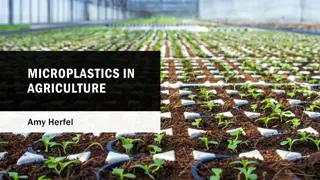 Microplastics in Agriculture and Possible Solutions