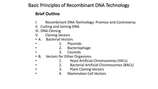 Recombinant DNA Technology Fundamentals: Genes, Expression, and Mutation