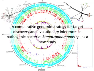 Comparative Genomic Strategy for Pathogenic Bacteria: Stenotrophomonas sp. Case Study