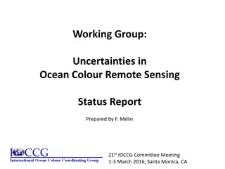 Ocean Colour Remote Sensing Uncertainties Report: IOCCG Committee Meeting Summary