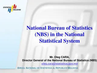 Role of the National Bureau of Statistics in the Statistical System