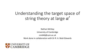 Understanding the Target Space of String Theory at Large - Nathan McStay