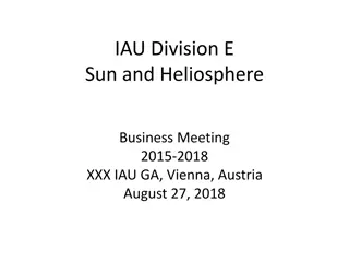 IAU Division E Sun and Heliosphere Business Meeting 2015-2018