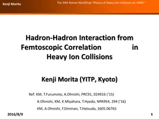 Femtoscopic Correlations in Heavy Ion Collisions at J-PARC Workshop