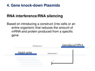 RNA Interference and Plasmid-Based Gene Knock-Down