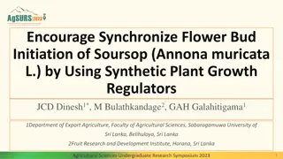 Encouraging Flower Bud Initiation of Soursop Using Plant Growth Regulators