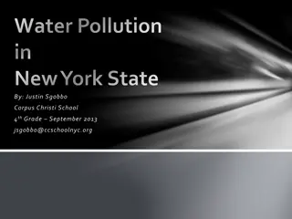 Water Pollution Issues in New York State