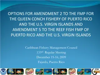 Options for Amendment 2 and 5 to FMP for Queen Conch and Reef Fish in Caribbean Fishery