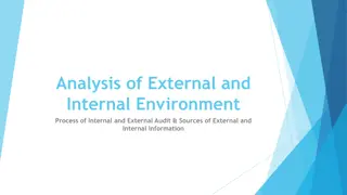 External and Internal Environment Process for Auditing