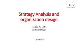 Strategic Analysis and Organization Design Overview