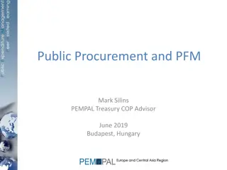 Government Procurement and Budget Execution in Public Finance