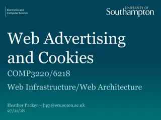 Web Advertising and Audience Targeting Strategies