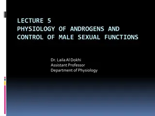 Physiology of Androgens and Male Sexual Functions