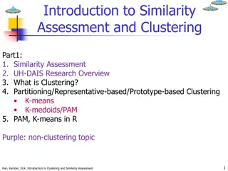 Object Similarity Measures in Clustering Analysis