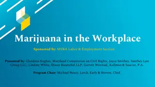 Maryland's Marijuana in the Workplace Laws