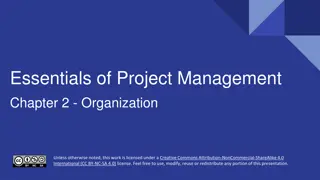 Organizational Structures and Cultures in Project Management