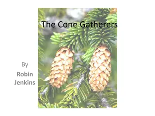 The Cone Gatherers: Summary, Biography, and Plot Details