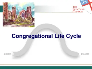 Congregational Life Cycle