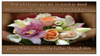 Living in the Name of the Lord: Insights from Colossians