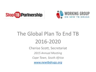 Global Plan to End TB: 2016-2020 Insights and Impacts