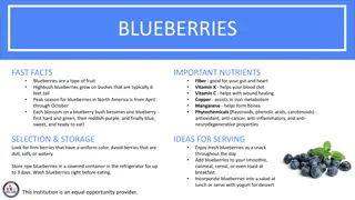 Blueberry Nutrition Facts and Activities