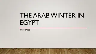 Egypt's Political Turmoil: Arab Winter to Failed Revolution
