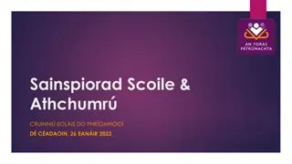 Transforming Primary Education in Ireland: Embracing Diversity and Inclusion