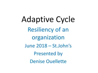 Adaptive Cycle Resiliency in Organizational Evolution