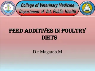 Essential Feed Additives for Balanced Poultry Diets