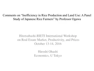 Efficiency in Japanese Rice Production: A Panel Study Analysis