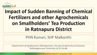 Impact of Sudden Ban on Chemical Fertilizers in Ratnapura Tea Production