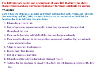 Fish Farming: Carp and Tilapia - Ideal Species for Aquaculture