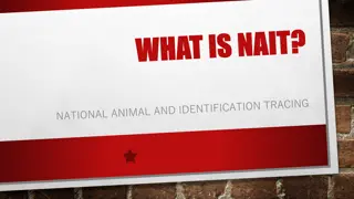 National Animal Identification and Tracing Scheme in New Zealand