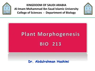 Plant Defense Mechanisms: Surface Protection and Secondary Metabolites